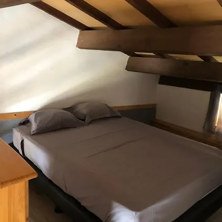 Palmarella 10 *
