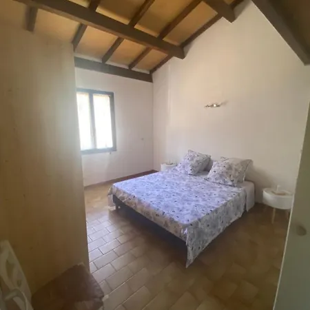 Palmarella