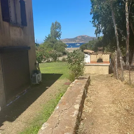 Palmarella Galéria